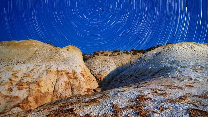 Napolyonbet Canlı Bahis ve Casino Platformu